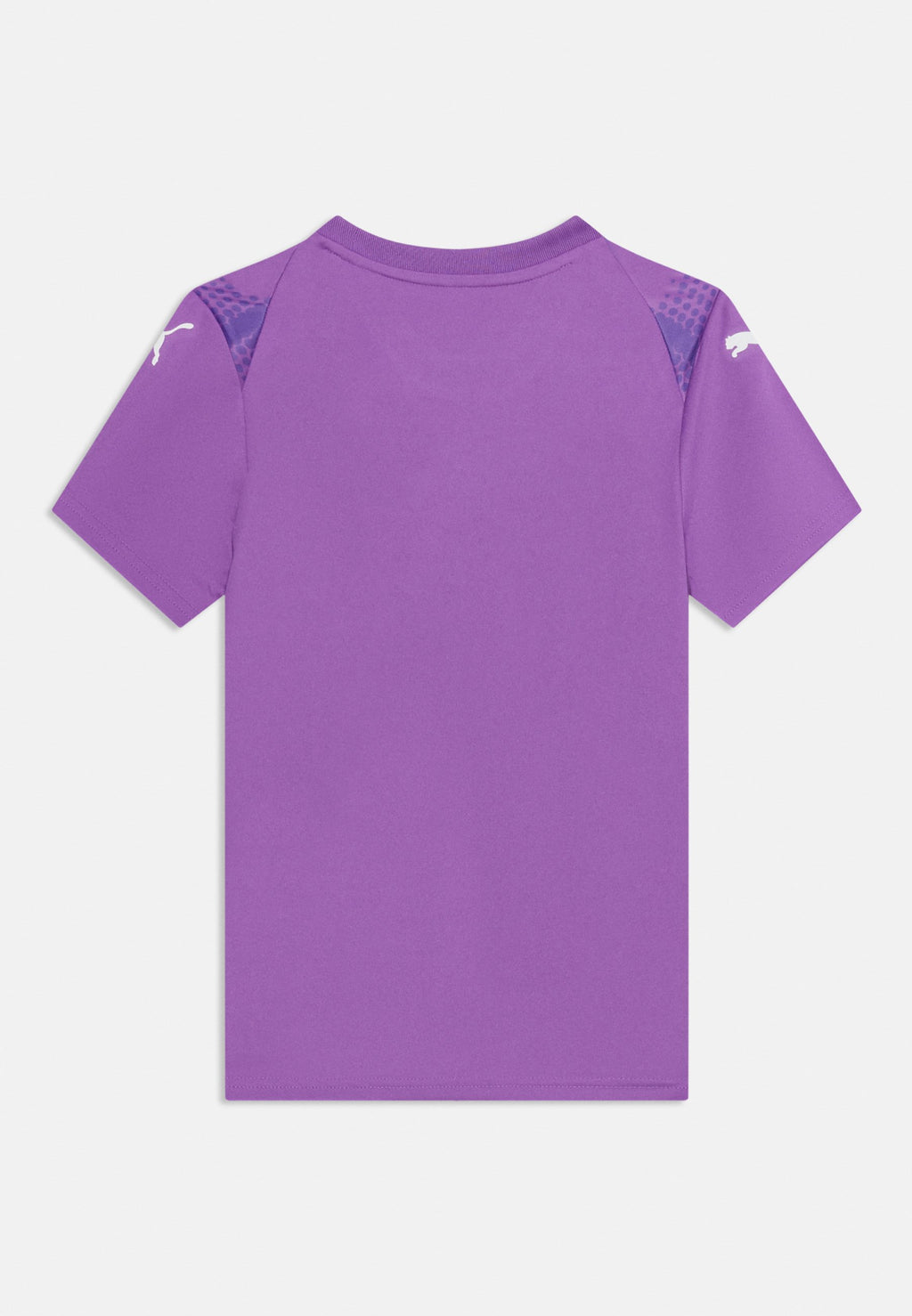Puma TEAMULTIMATE