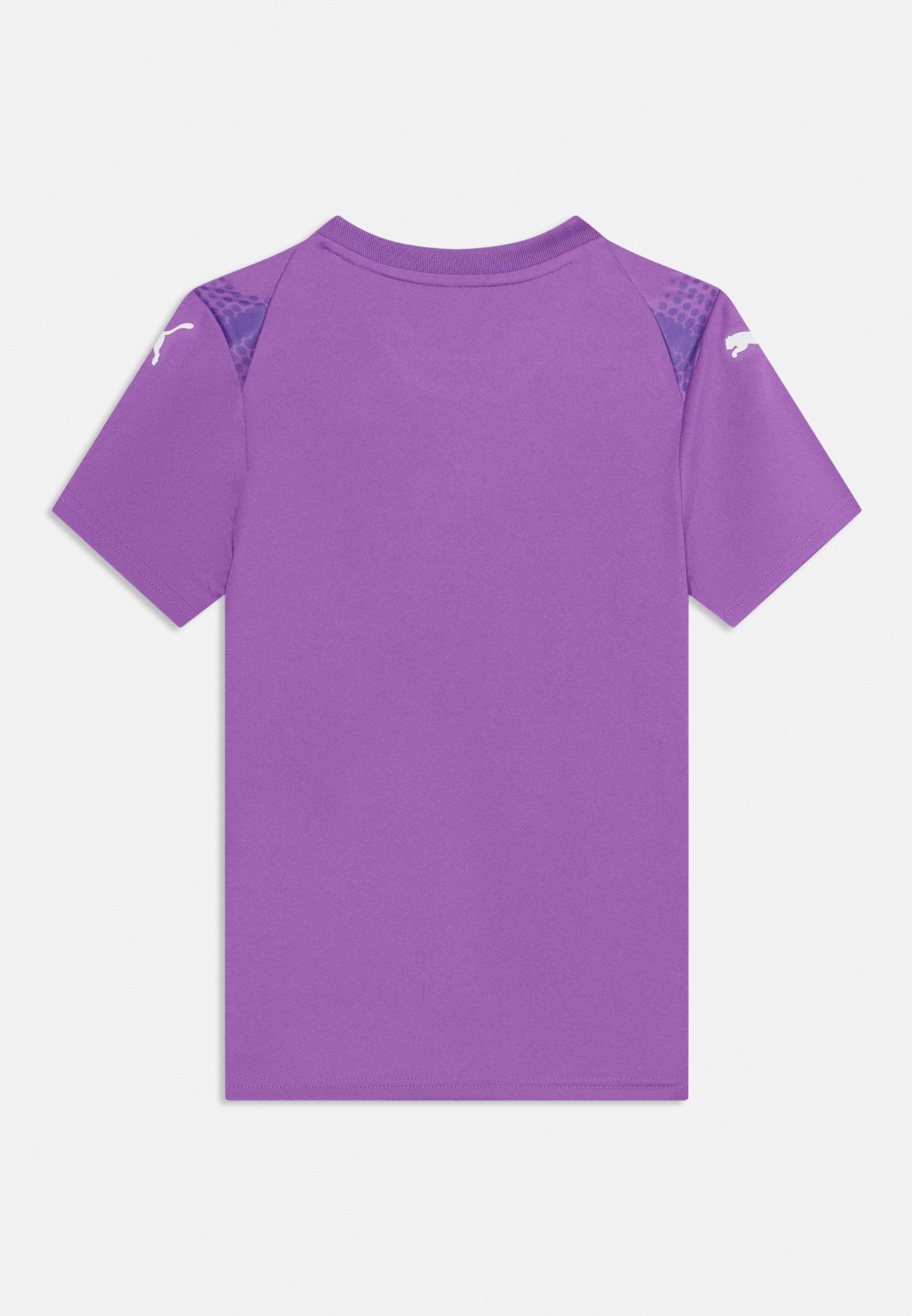 Puma TEAMULTIMATE