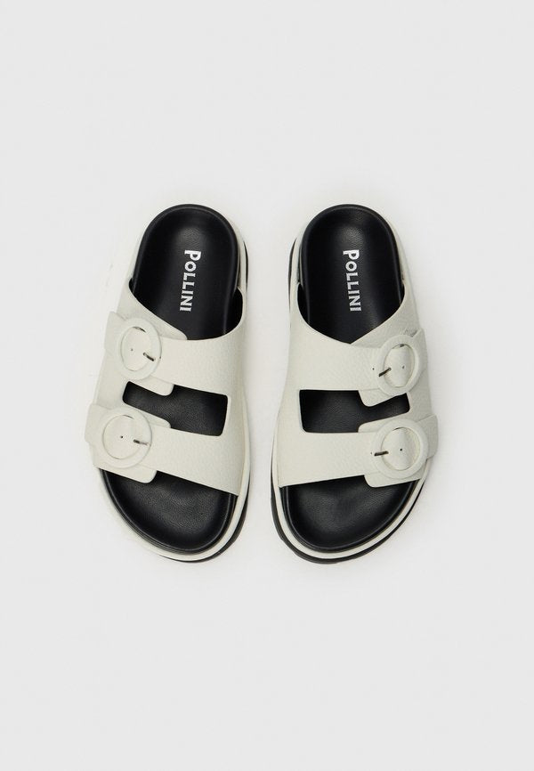 Pollini