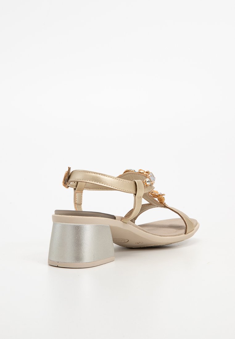 Scholl PALEA