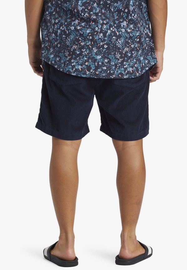 Quiksilver TAXER
