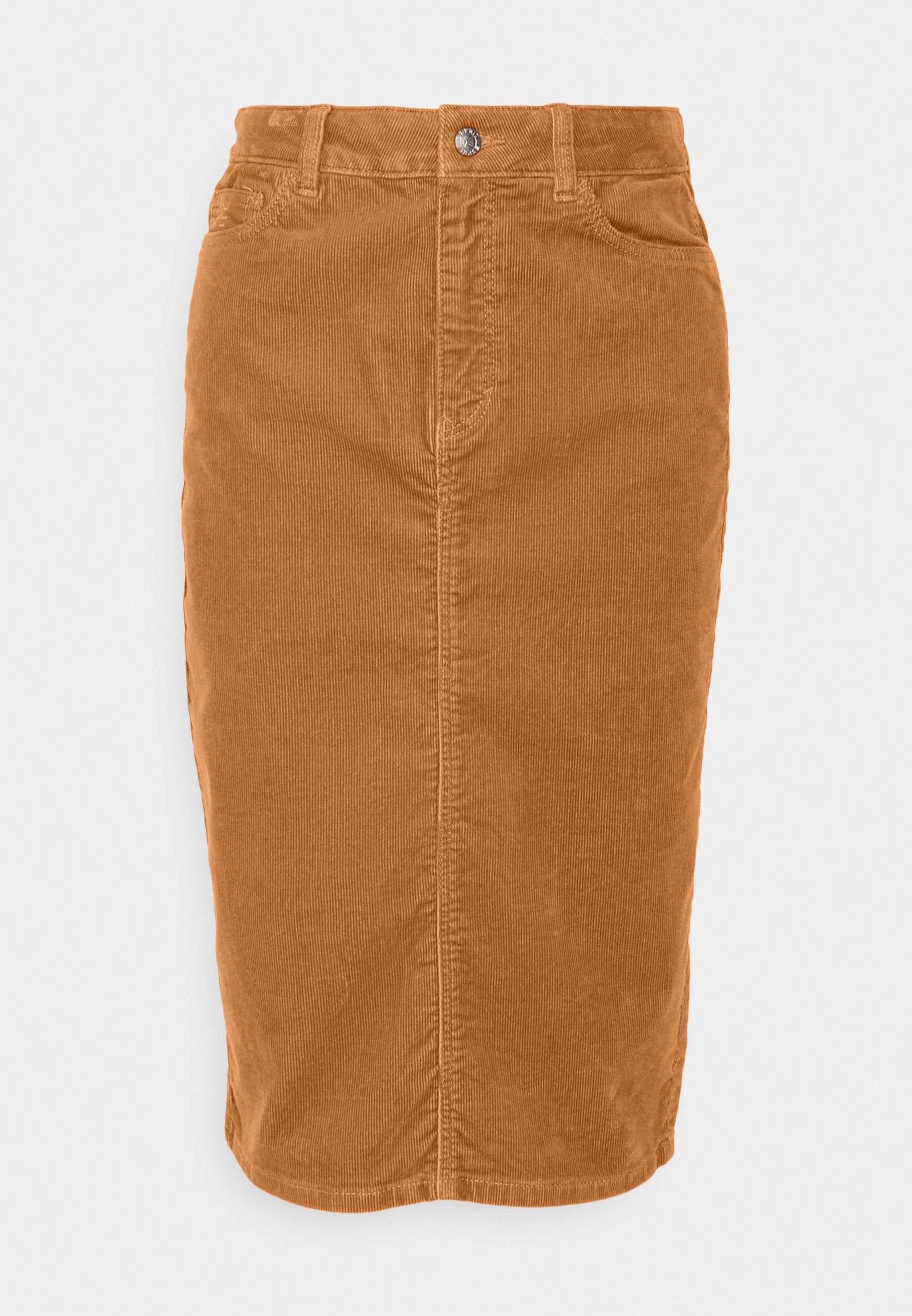 SKIRT Media 1