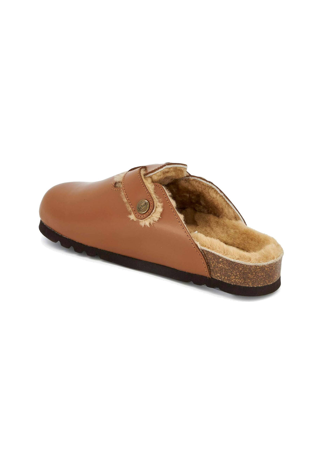 Scholl