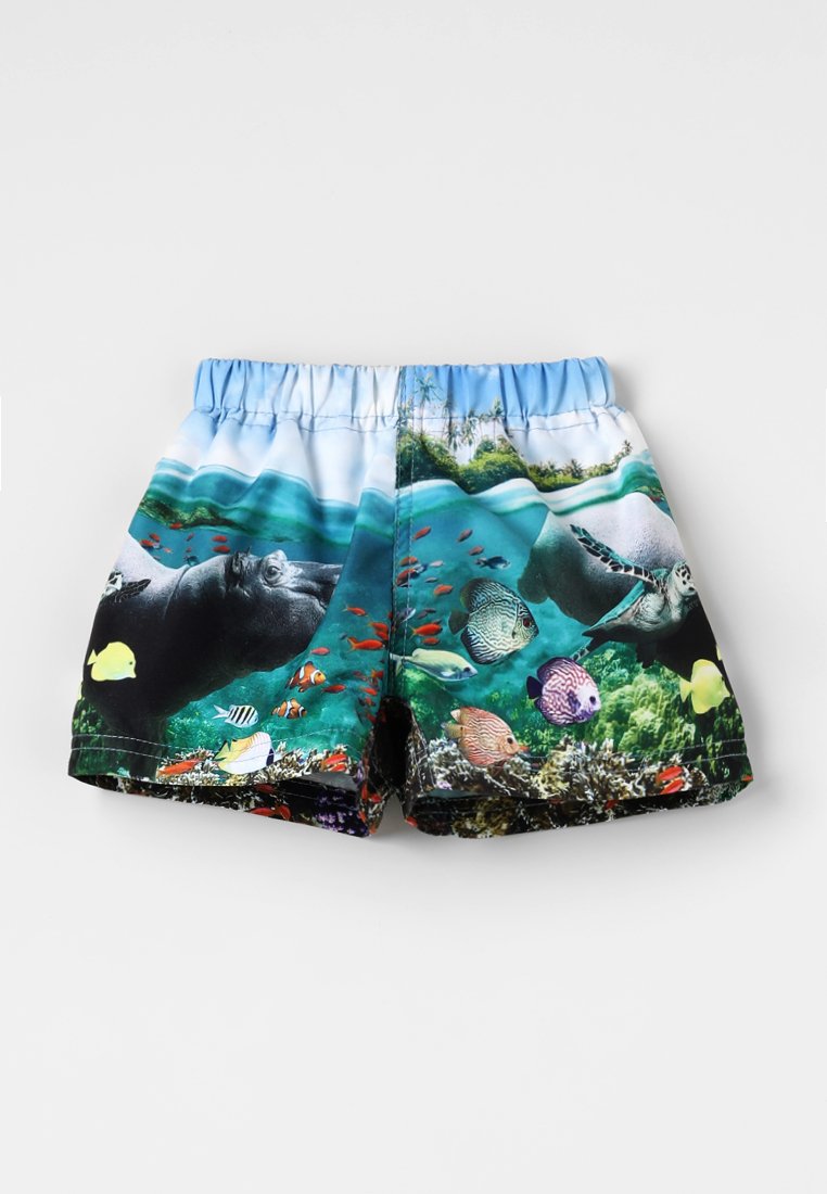 Molo NEWTON TRUNKS BABY