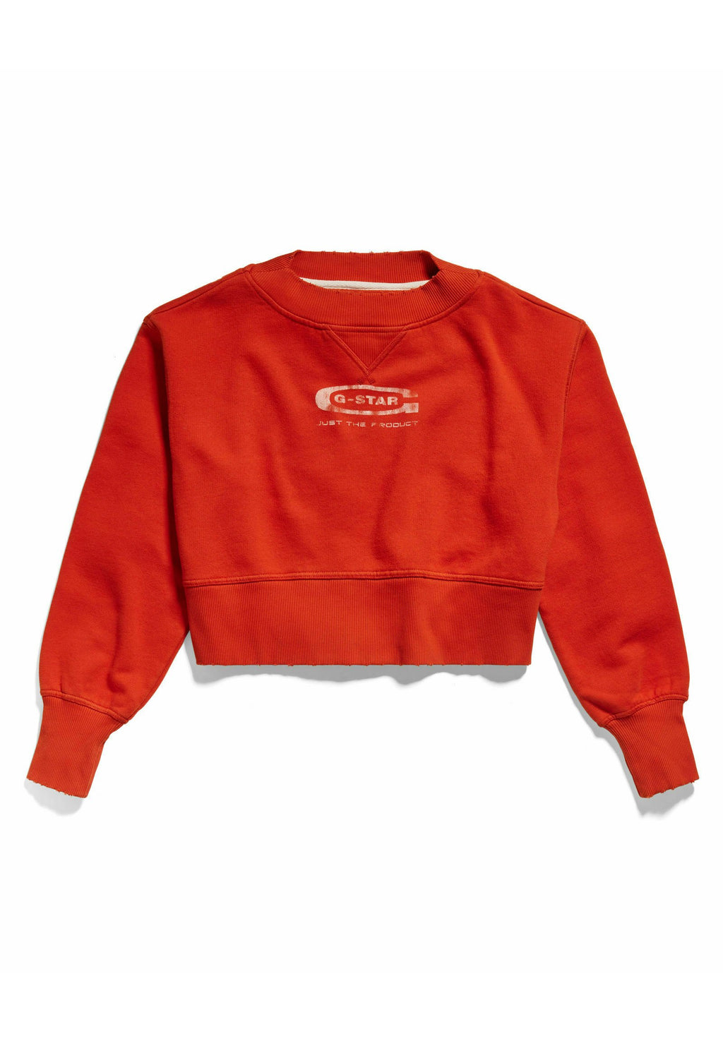 VINTAGE CROPPED LOGO LOOSE Media 1