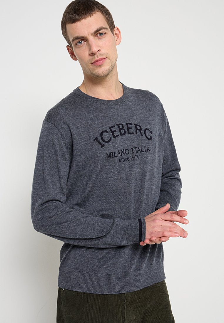 Iceberg