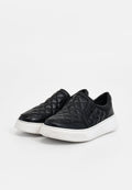 Scholl BROOKLYN