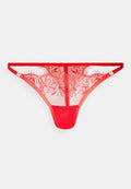 Bluebella GRACE THONG