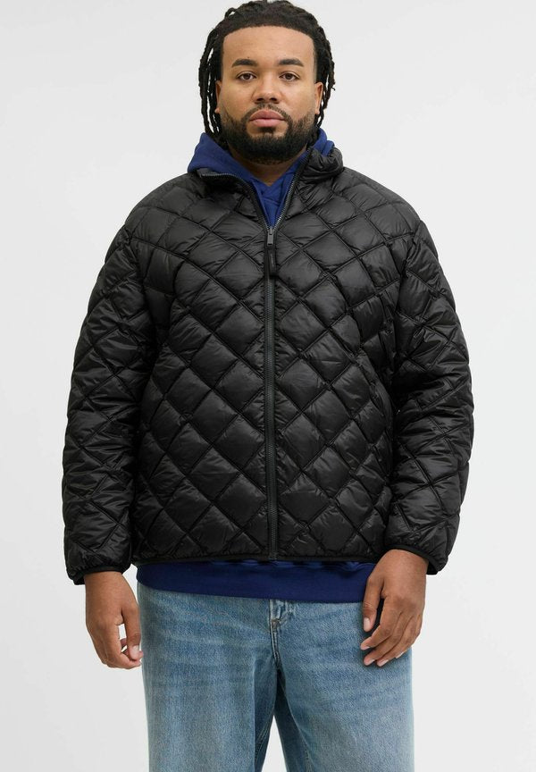Jack & Jones Quilted Plus Size Quilted - Winter jacket - dark navy