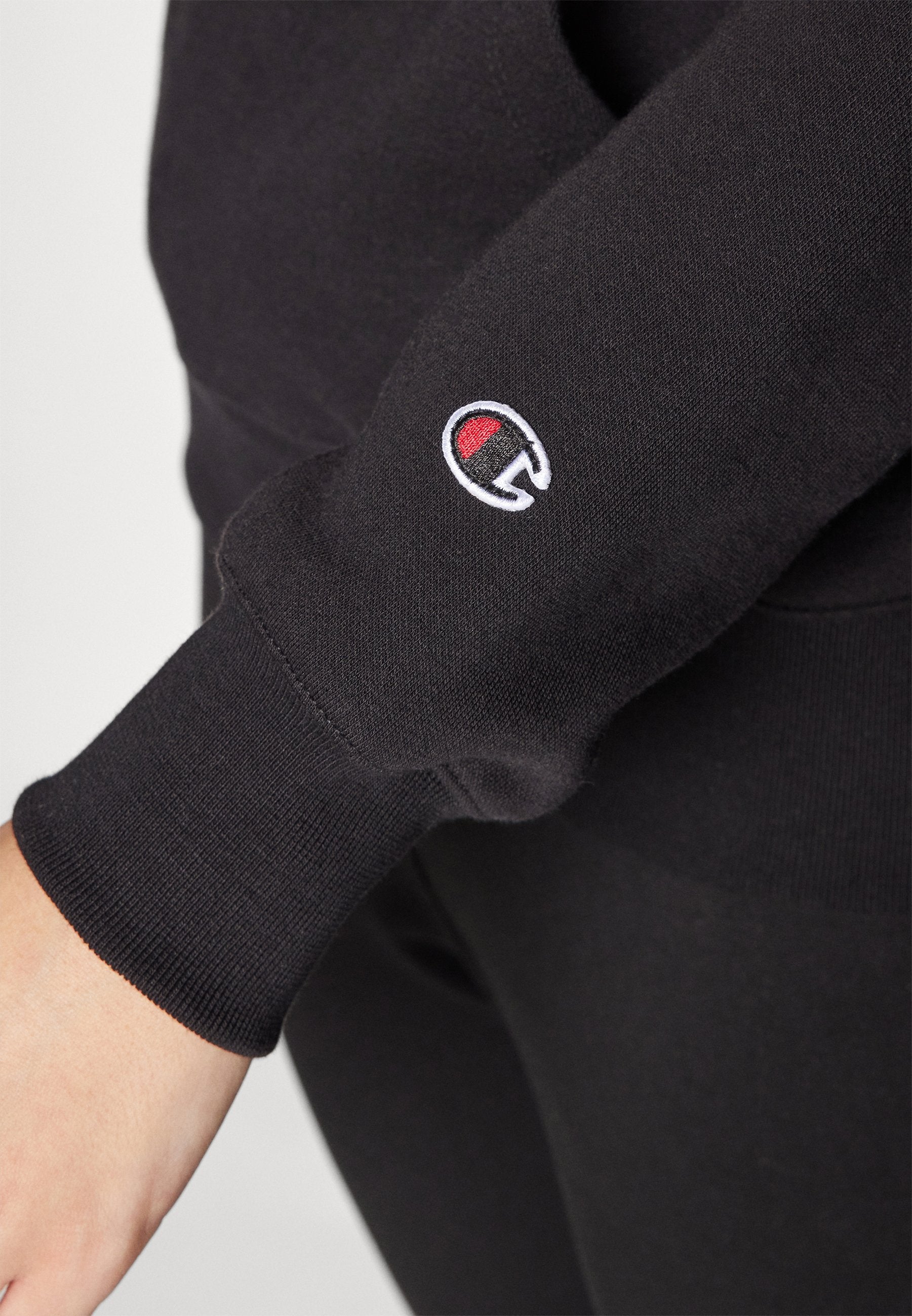 Champion ICONS HOODIE SMALL LOGO