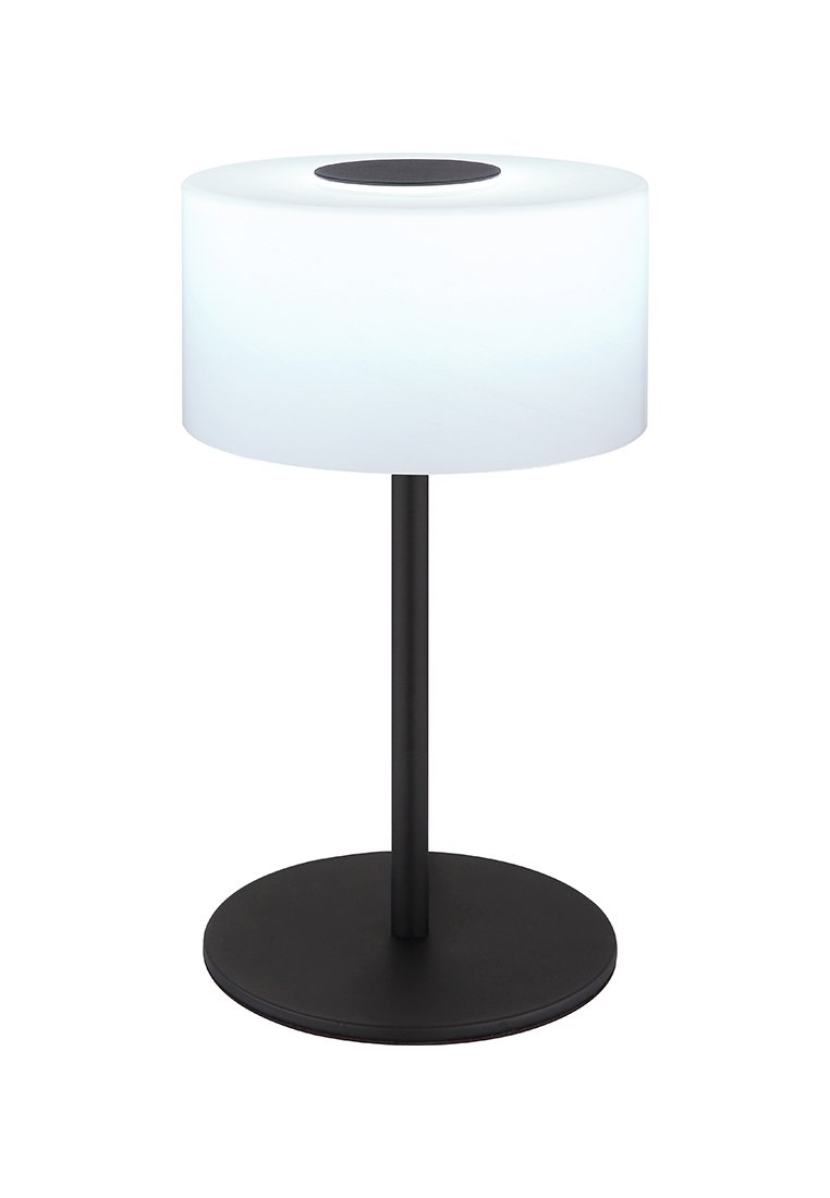 GLOBO Lighting