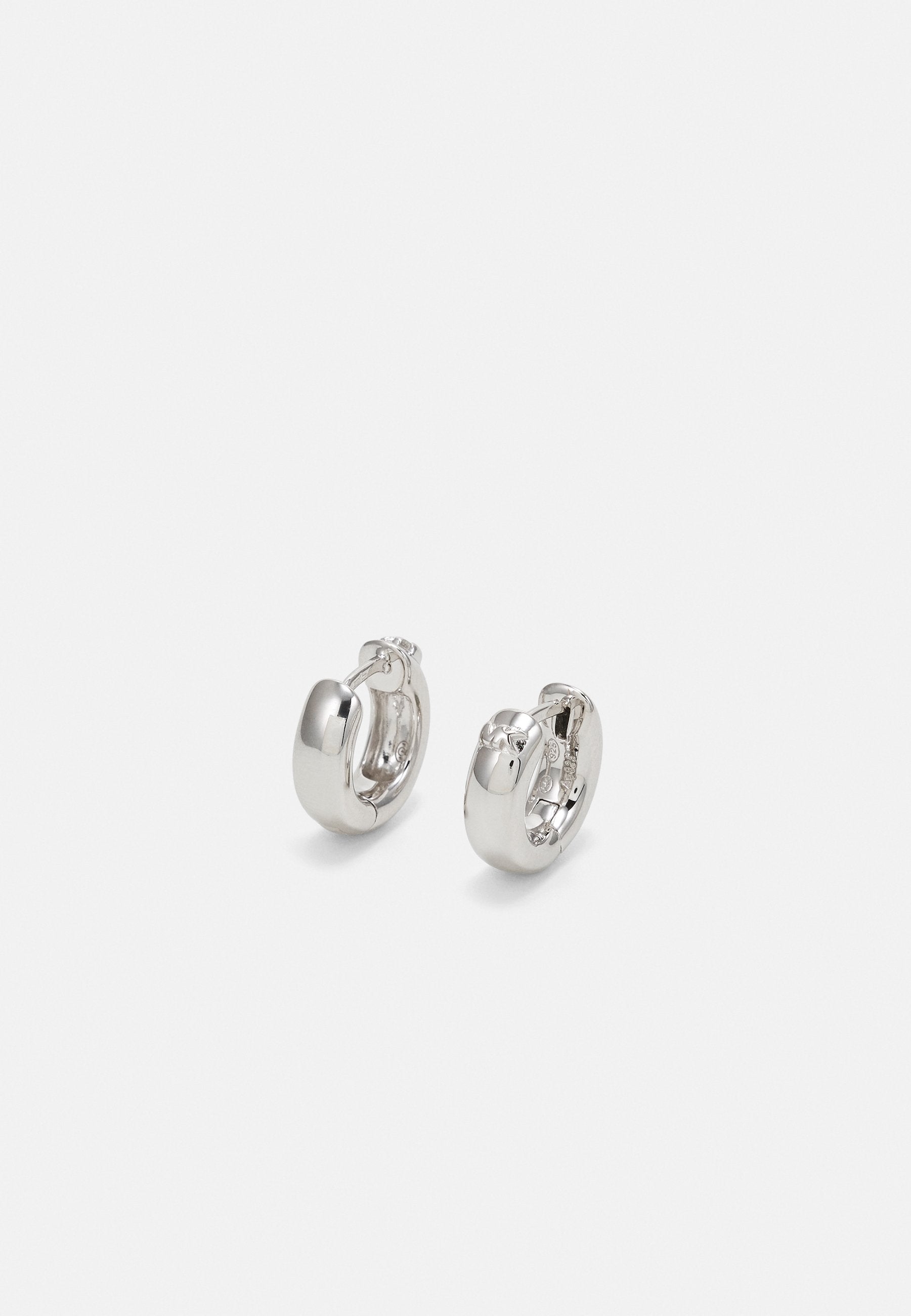 EARRING Media 1