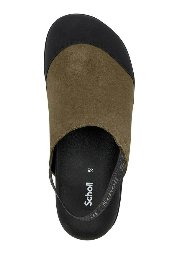 Scholl ABBY