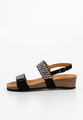 Scholl DOHA