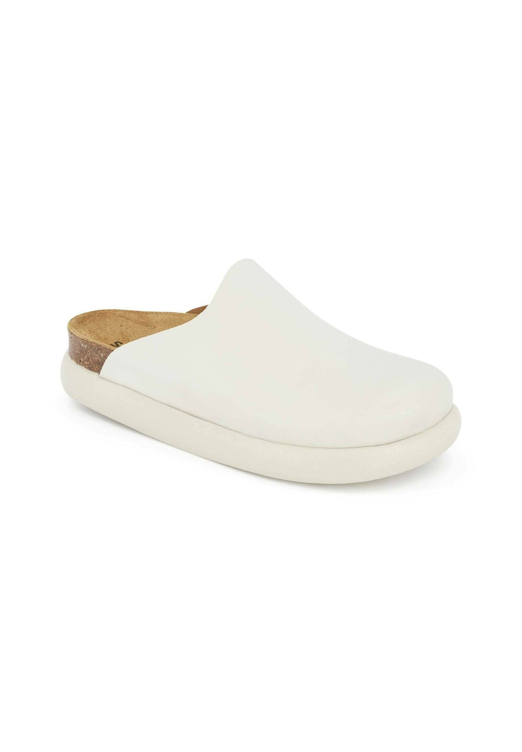 Scholl
