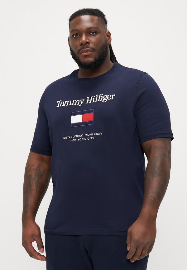 Tommy Hilfiger EMBRO FLAG TEE - Print T-shirt - desert sky