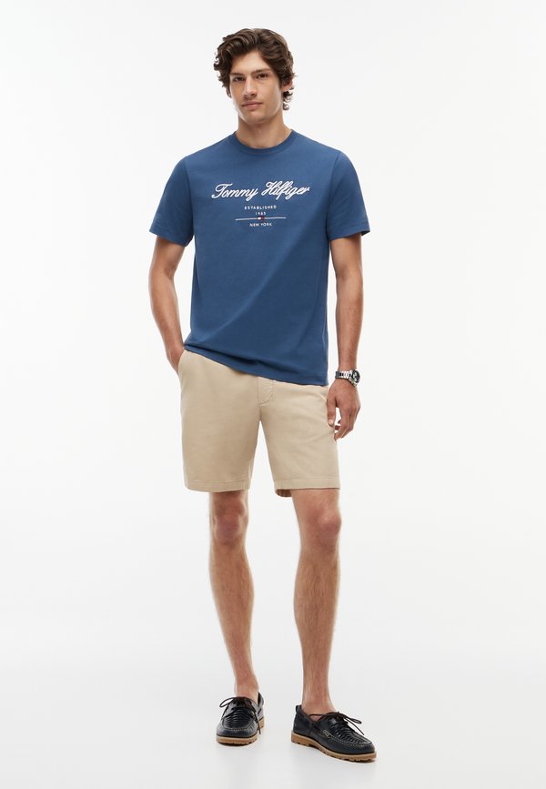 Tommy Hilfiger SCRIPT LOGO TEE - BRAND LOVE - Print T-shirt - aegean sea