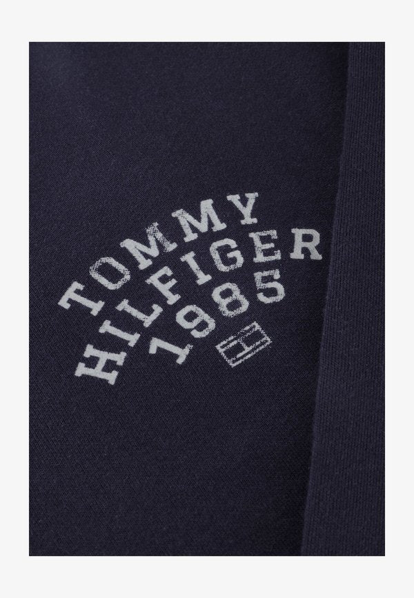 Tommy Hilfiger ARCH STAND COLLAR - Zip-up sweatshirt - dw desert sky
