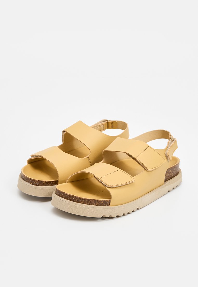 Scholl SIERRA