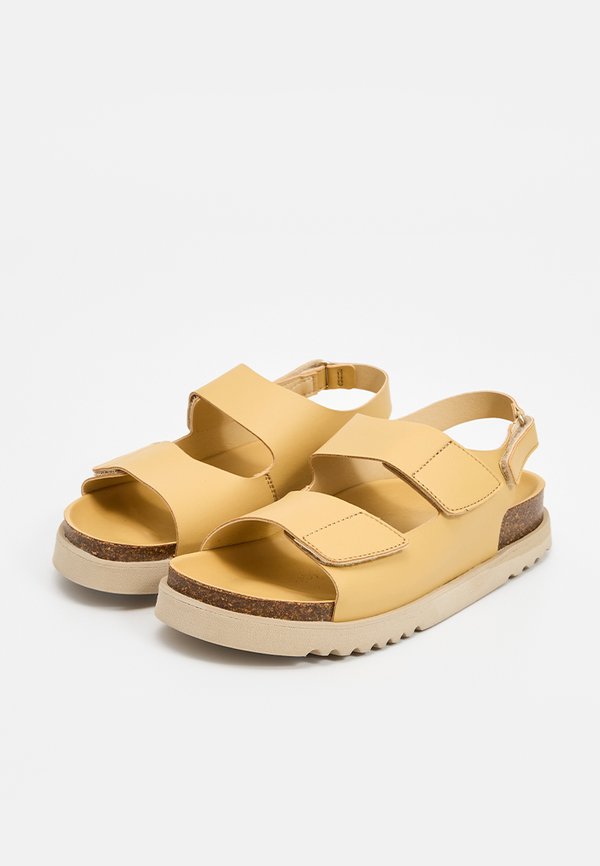 Scholl SIERRA