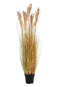 House Nordic SORGHUM
