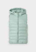 ONLNEWTAHOE HOOD Media 1