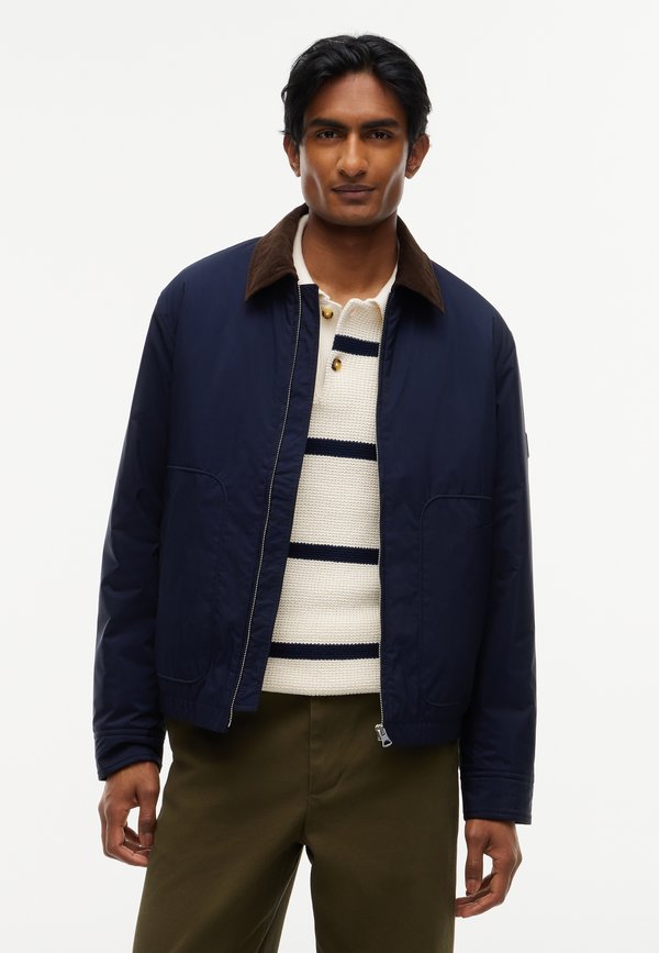 Tommy Hilfiger SURPLUS PADDED IVY - Bomber Jacket - navy blue