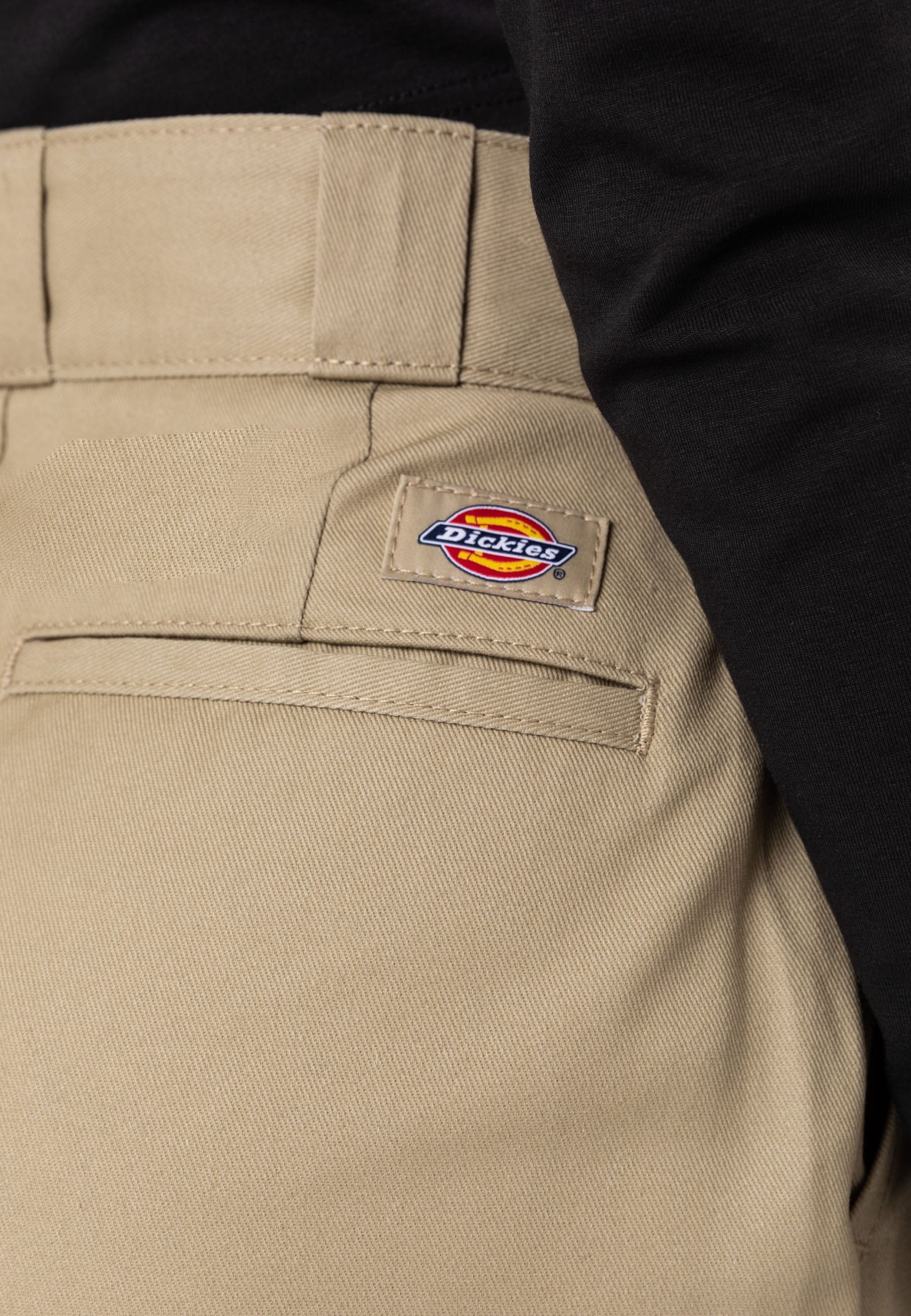 Dickies PHOENIX CROPPED REC