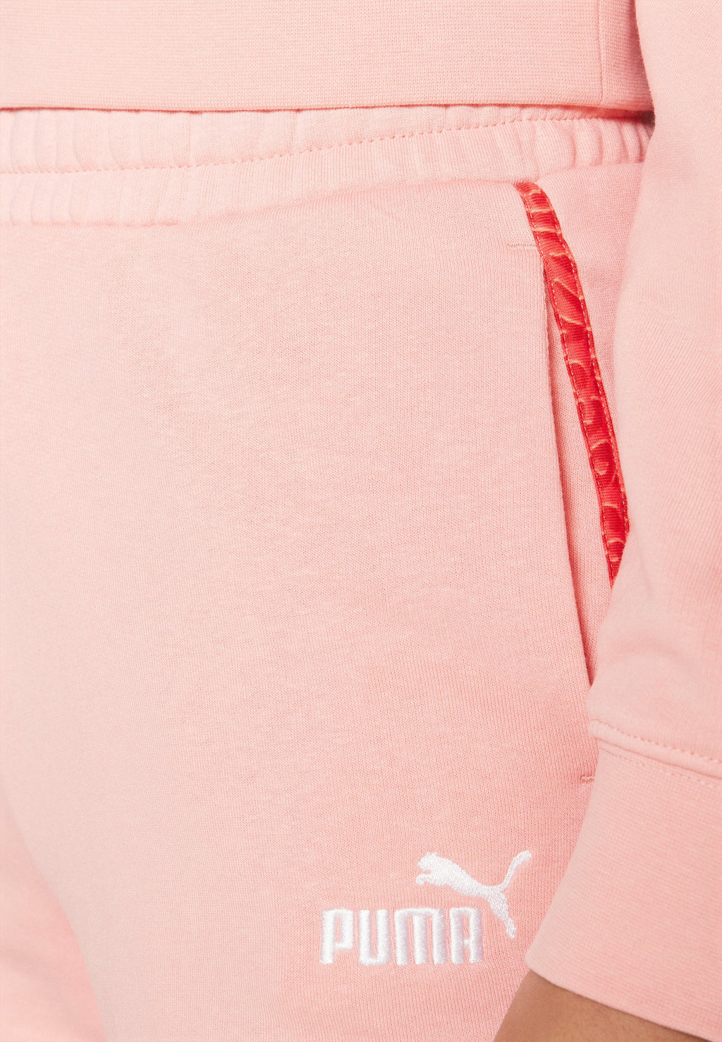 Puma GRAPHIC ANIMAL SHORTS