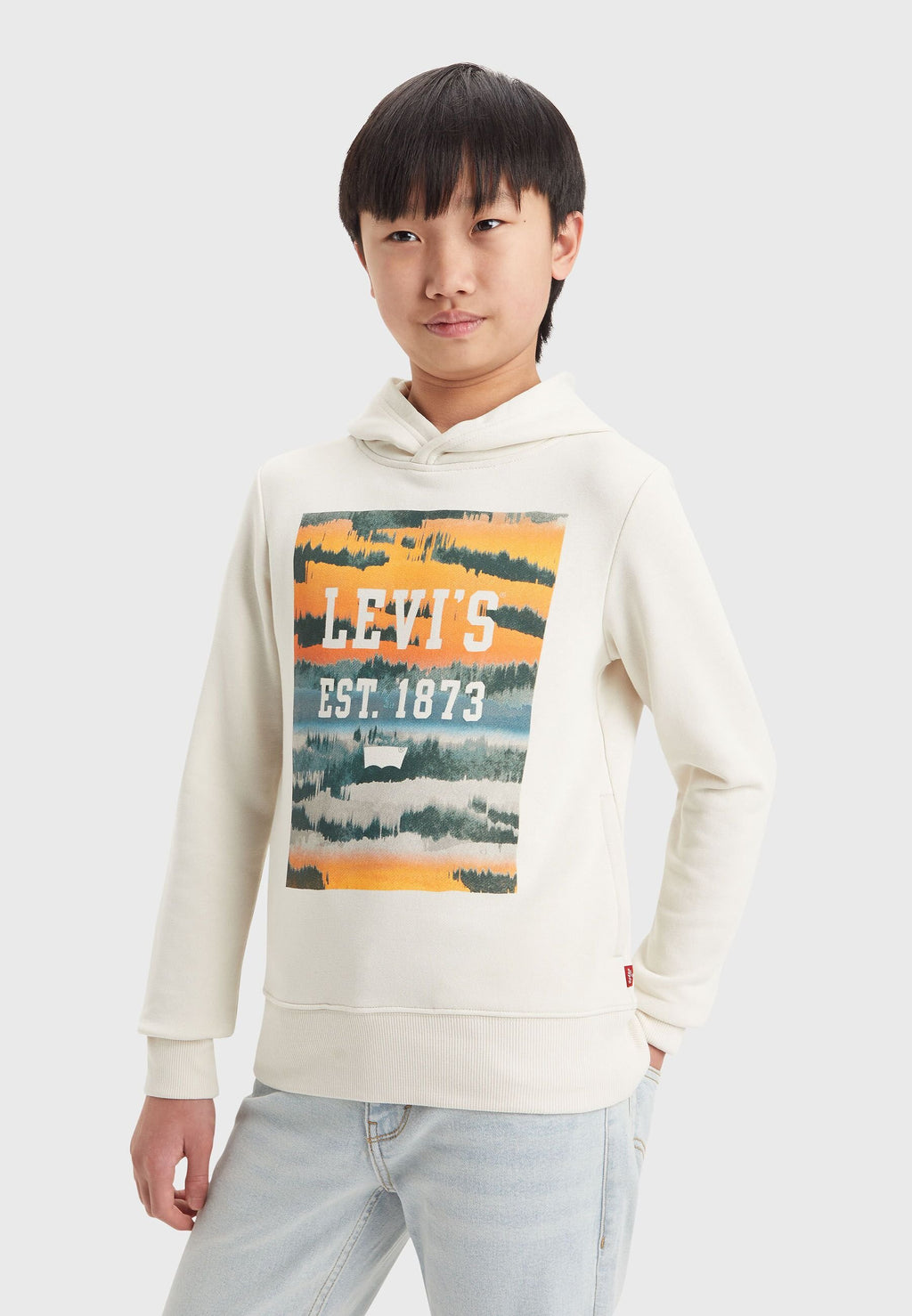 Levi's® LANDSCAPE BOX HOODIE