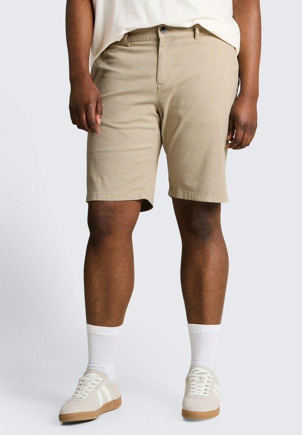 TOM TAILOR TOM TAILOR HOSEN & CHINO PLUS SIZE - SLIM CHINO SHORTS - Shorts - cashew beige