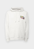 Hellgrauer Hoodie aus weichem Material, mit einer vorderen Tasche, Kordeln und einem mehrfarbigen, gestickten Logo auf der Brust.