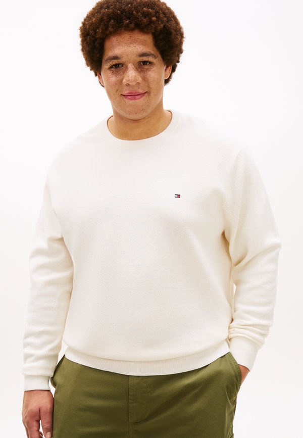 Tommy Hilfiger ESSENTIAL STRUCTURE CREW NECK - Jumper - ivory petal