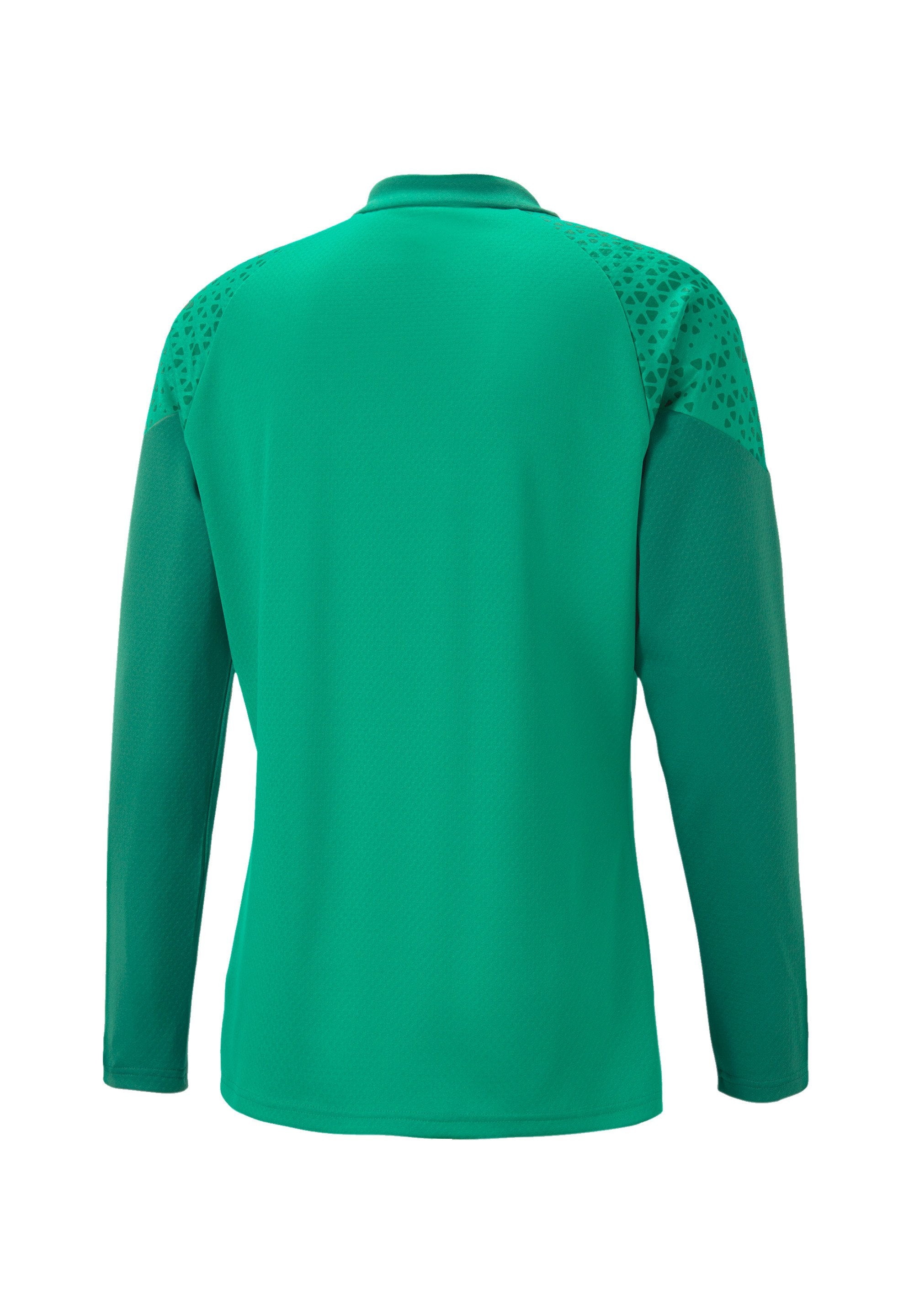 Puma FUSSBALL - TEAMSPORT - TEAMCUP HALFZIP SW