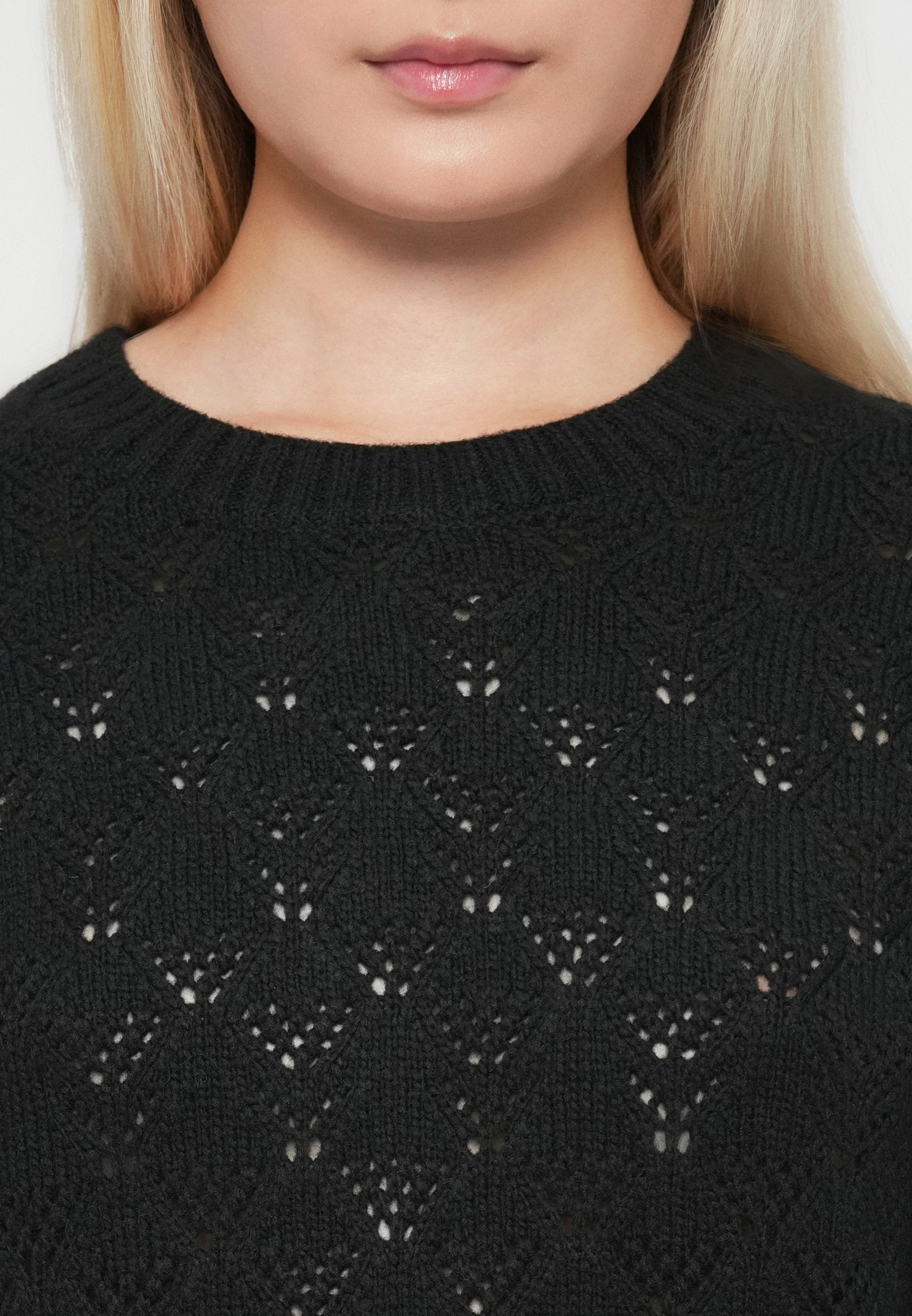 JDY JDYAMANDA LIFE O-NECK PULLOVER
