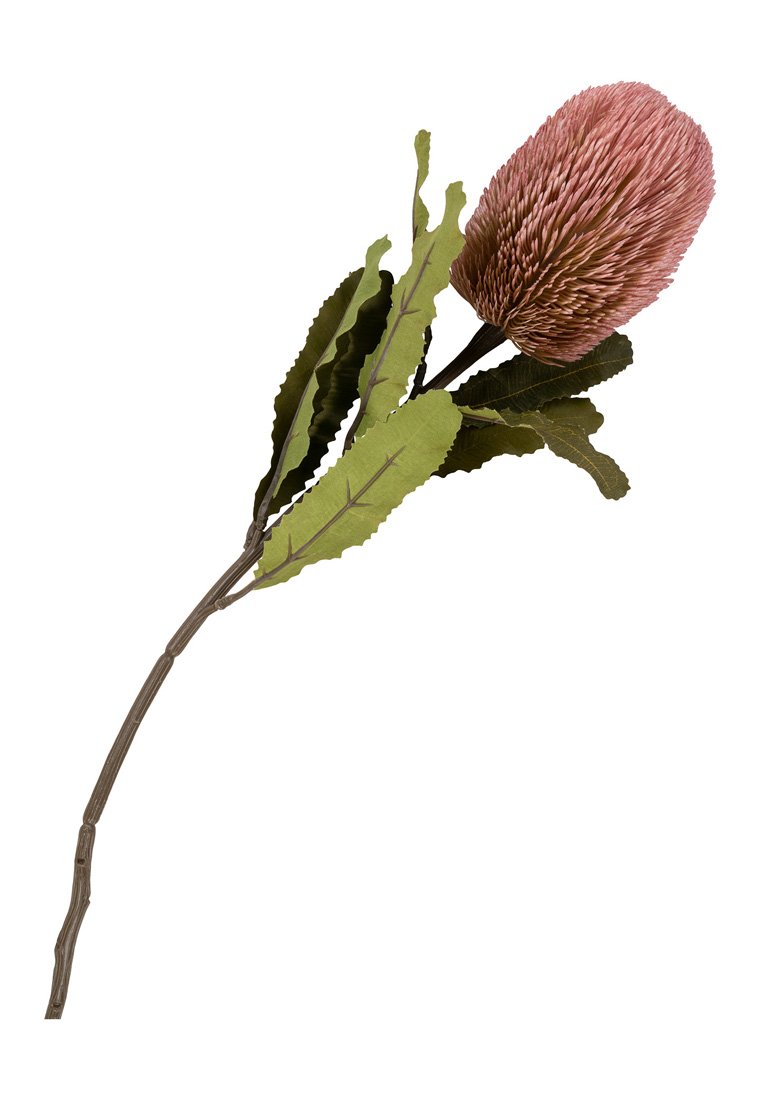 House Nordic KING PROTEA BOUQUET