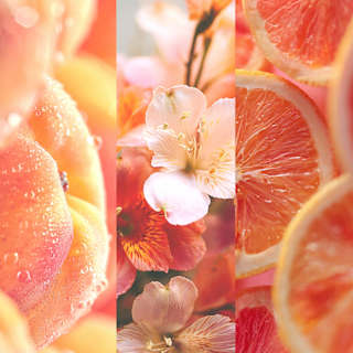 Deospray Fruity Flirt 8x4 women