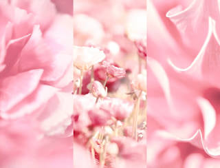 Deospray No.3 Velvet Blossom 8x4 women