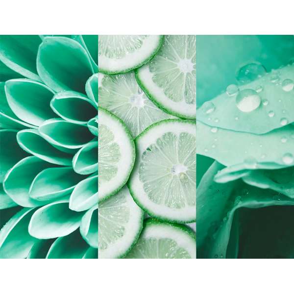 Deospray No.7 Fresh Lime 8x4 women