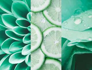Deospray No.7 Fresh Lime 8x4 women