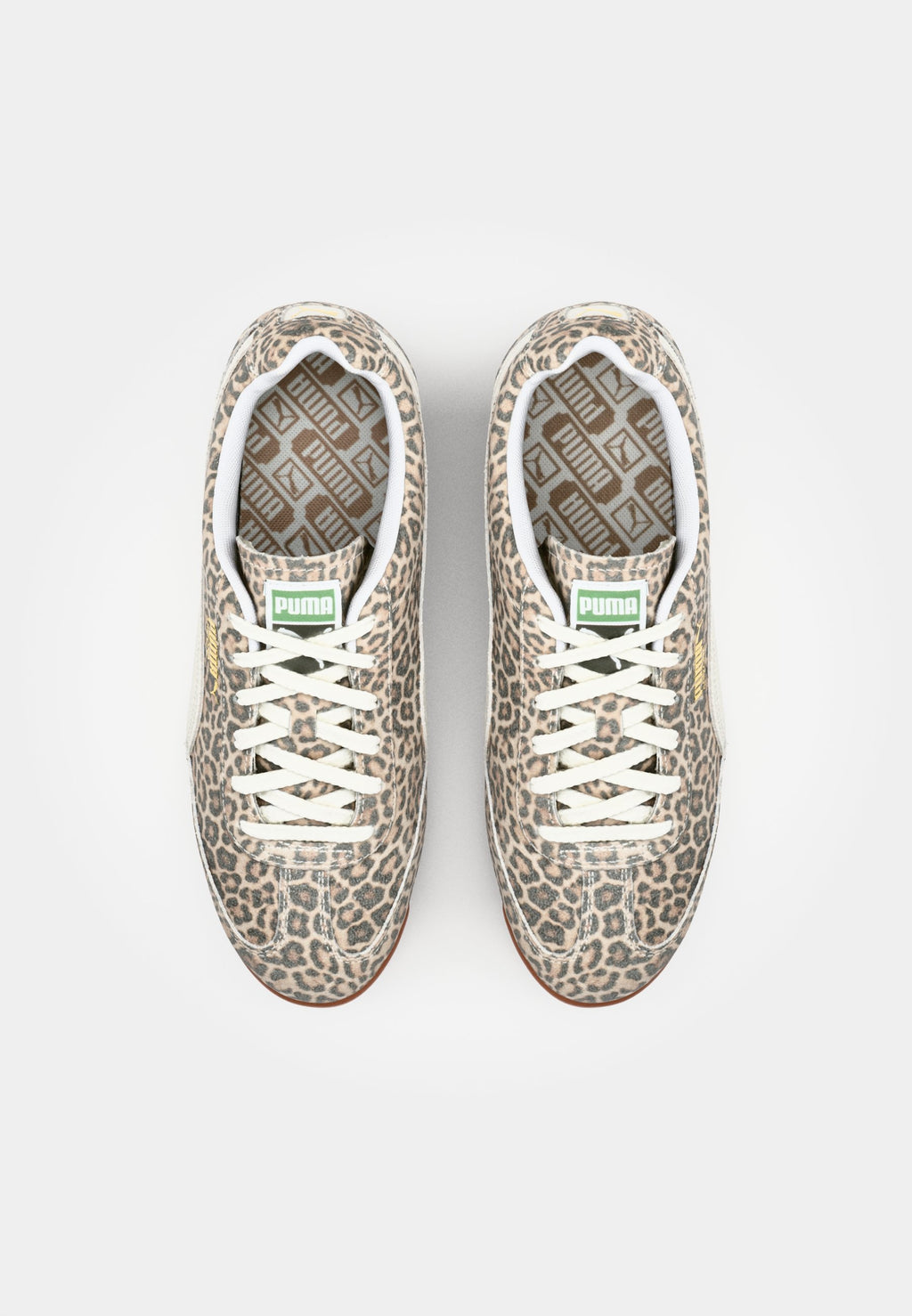 Puma ARIZONA LEO
