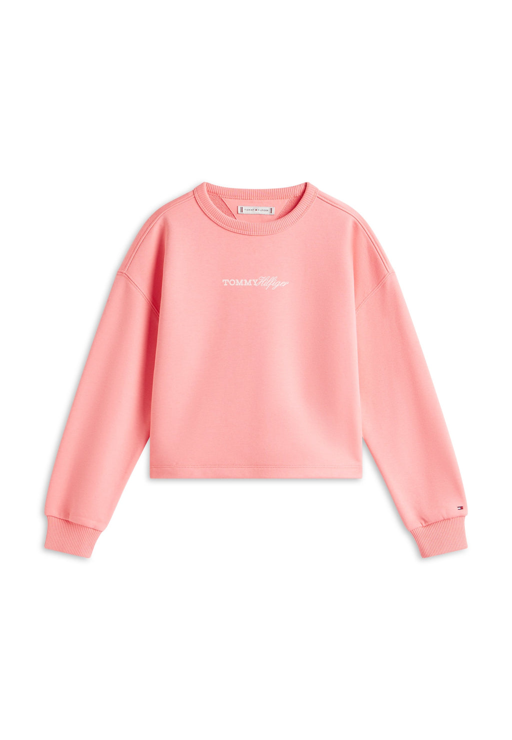 GLITTER LOGO RELAXED TERRY SWEATSHIRT Media 1