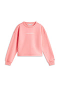 GLITTER LOGO RELAXED TERRY SWEATSHIRT Media 1
