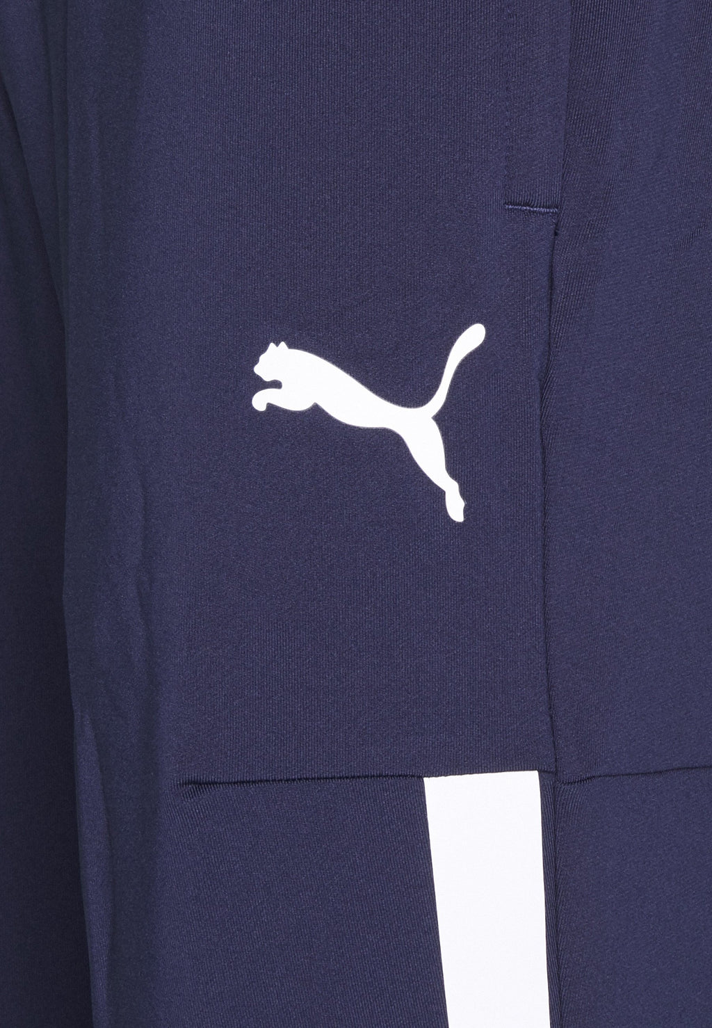 Puma TEAMLIGA TRAINING PANTS PRO