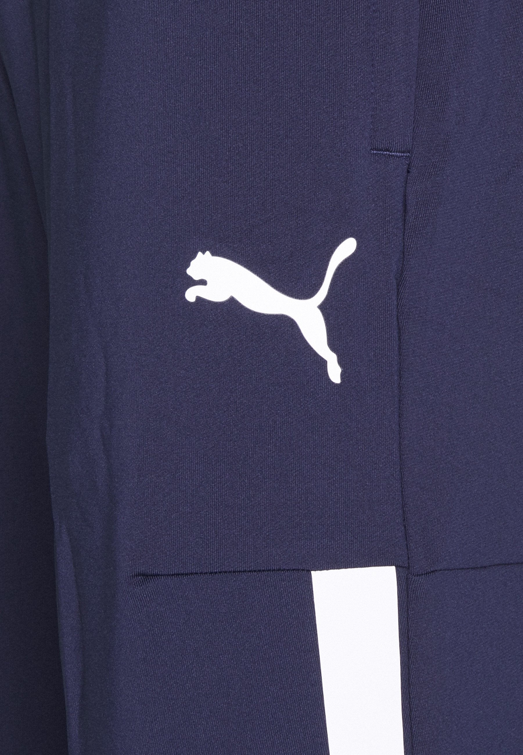 Puma TEAMLIGA TRAINING PANTS PRO