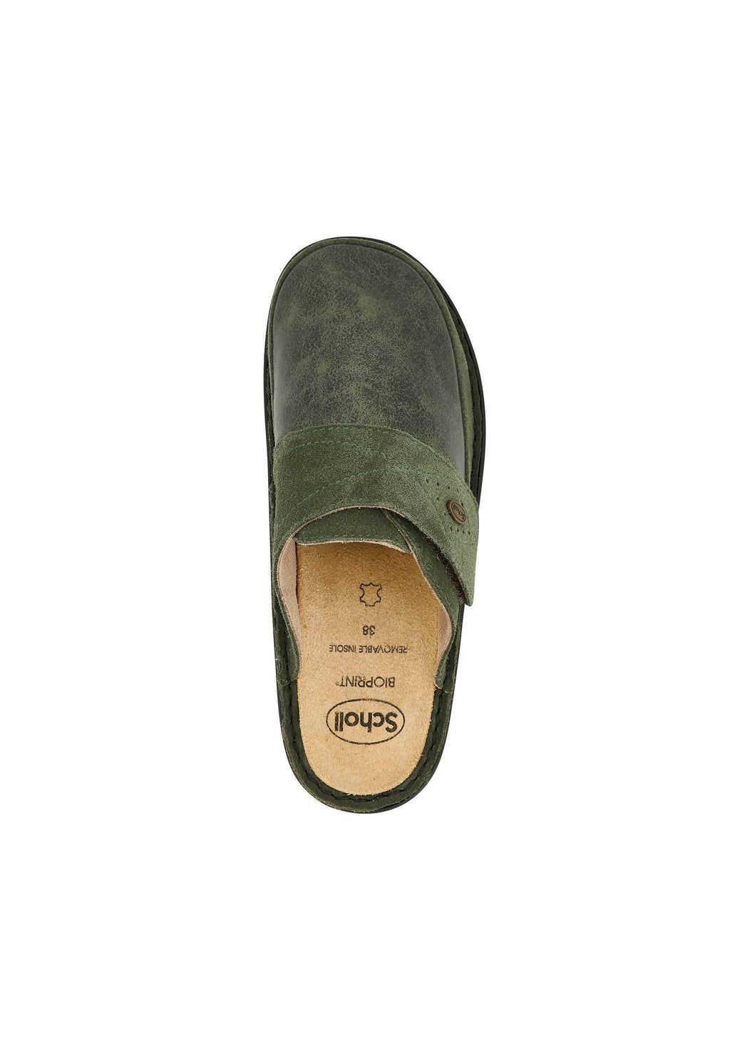 Scholl  ROBERTA