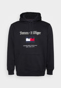 EMBRO FLAG HOODIE Media 1