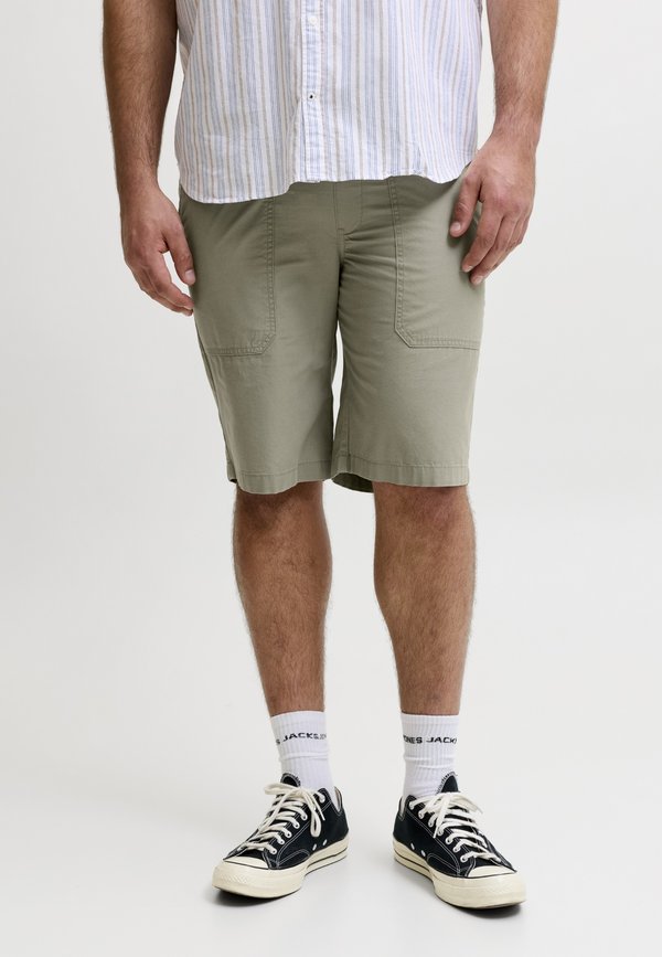 Jack & Jones JPSTJAIDEN - Shorts - vetiver