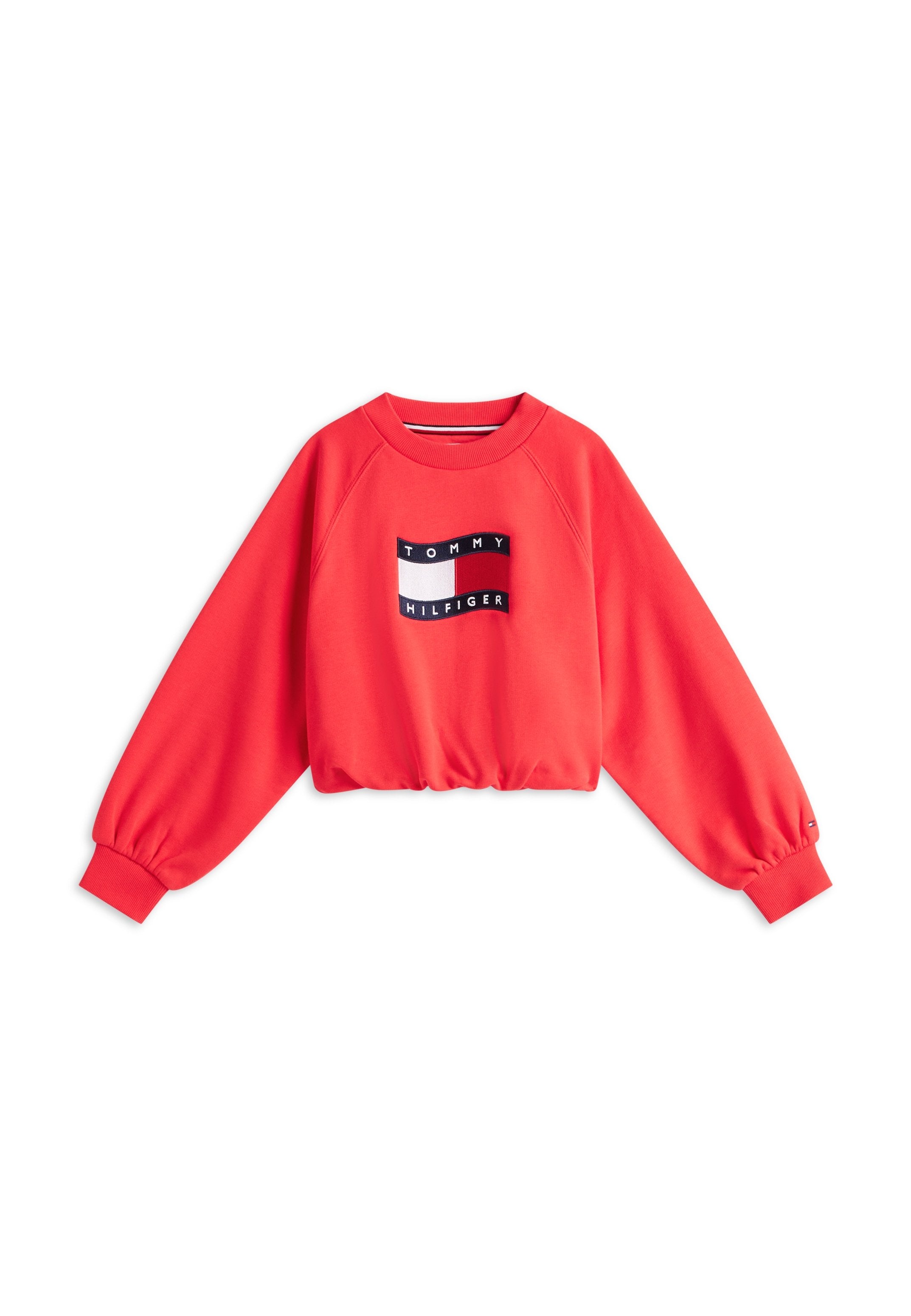 WAVY FLAG PUFF HEM RELAXED SWEATSHIRT Media 1