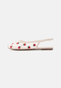 ALDO DROPLET
